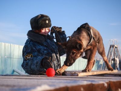 Новые щенки начнут службу в УФСИН Якутии