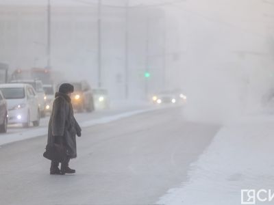 В ГД предложили переводить сотрудников на дистант в период морозов