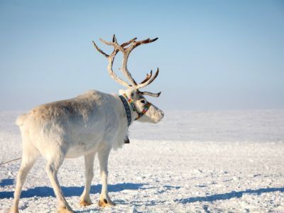 В Якутии проведут проектный интенсив «АлСиб — трасса мужества»