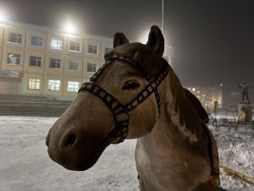 Фото: двор школы в Таттинском улусе украсила реалистичная скульптура лошади