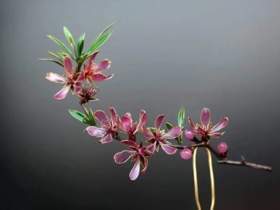 Ювелирные украшения в виде цветов представят на выставке в Якутске