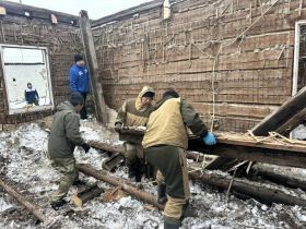 Более 50 семьям Хангаласского улуса помогли отряды Молодежного десанта