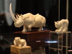 «Образ Арктики»: в Якутске впервые показали авторскую коллекцию Георгия Родионова