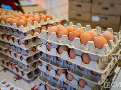 Как выбрать и хранить яйца: советы Роскачества