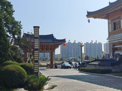 В какие страны и города россияне стали чаще приезжать в командировку