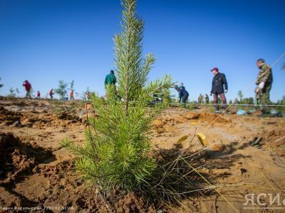 В Якутии проходит конкурс «Экология начинается с семьи»