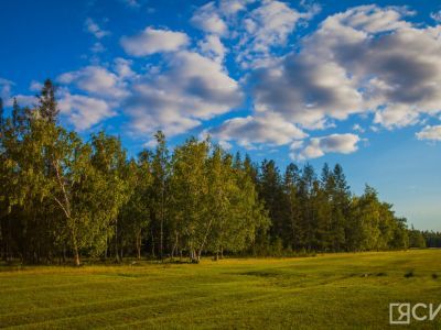 14 июля – Летние Кузьминки: что можно и нельзя делать, чтобы не отпугнуть удачу