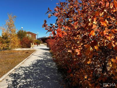 Как изменится жизнь россиян в сентябре 2025: вступают в силу новые законы