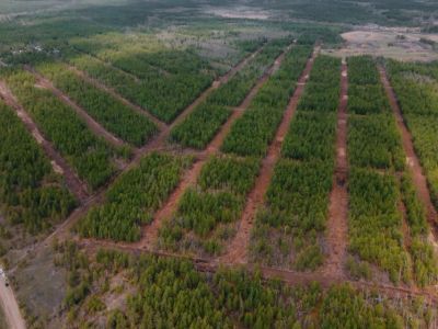 Более 1100 многодетных семей Якутии получили земельные участки в этом году