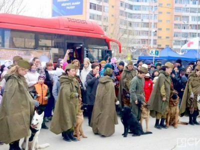 Собаки в десятый раз примут участие в военно-патриотическом шествии в Якутске