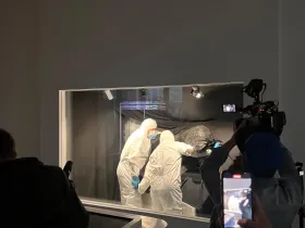 Мамонтёнка возрастом 130 тысяч лет транспортировали из Владивостока обратно в Якутск