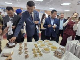 Рыбный фудкорт развернули на выставке школ в Жиганском районе