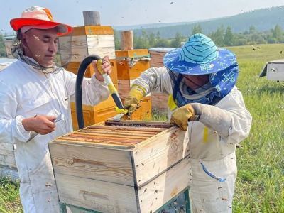 Якутяне развивают бизнес на «дальневосточных гектарах»