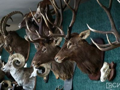 В Минэкологии Якутии напомнили о системе распределения разрешений на добычу охотресурсов