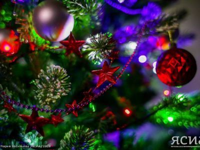 Жители ДФО готовятся к Новому году: продажи праздничных украшений выросли в два раза