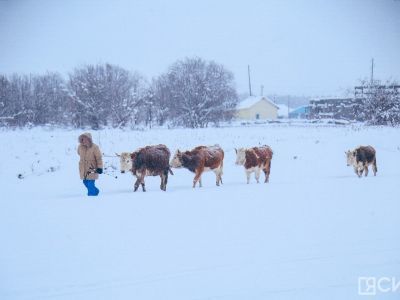 Наблюдение доходов и участия в соцпрограммах многодетных семей проведут в Якутии