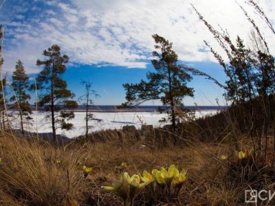 Короткие поездки и спокойный отдых стали трендами майских праздников среди жителей Дальнего Востока