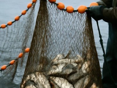 В Якутии с 20 сентября запретят рыбалку с сетью