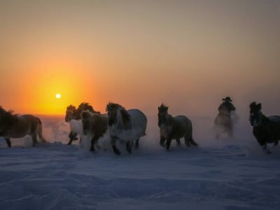 В Якутске откроют выставку художника-графика Василия Парникова