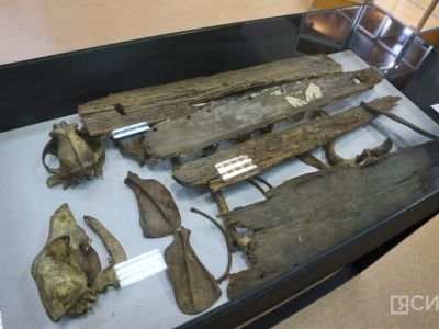 Погребение собак с детскими колыбелями: в Якутском музее представили необычный экспонат