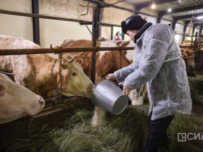 В Якутии численность занятых в сфере МСП планируется увеличить до 140 тысяч человек