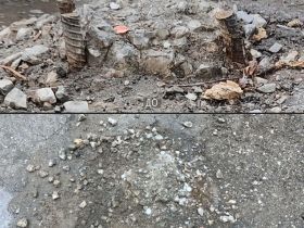 Жители Якутска помогают обезопасить улицы города через Платформу обратной связи