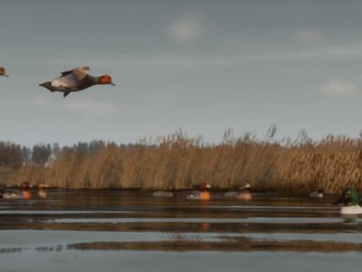 Создатели BULT рассказали новые подробности об игре
