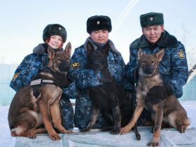 Новые щенки начнут службу в УФСИН Якутии