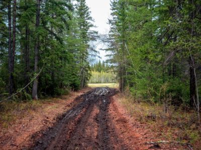Спасатели Якутии нашли заблудившихся женщин в лесу