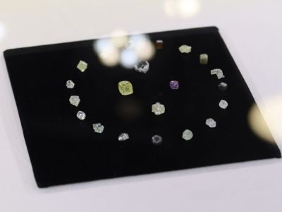 Более 250 необычных алмазов АЛРОСА пополнили «Сокровищницу Якутии»