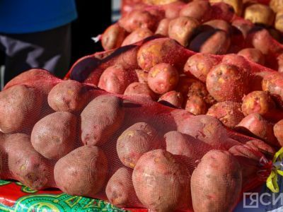 Директор АТЛК Сайдам Степанов разъяснил ситуацию с поставками овощей в Усть-Куйгу