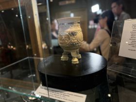 «Кабинет редкостей» открылся в музее имени Ярославского в Якутске