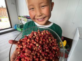 В Якутии восьмилетний мальчик спас мужчину с инсультом