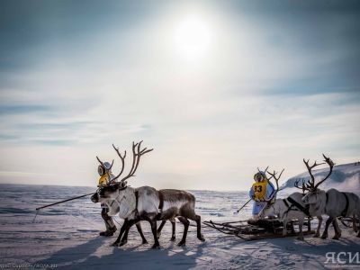 Айсен Николаев поздравил с Днем оленевода в Якутии