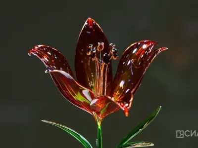 В Якутске открылась выставка Маргариты Зиминой «Цветы России»