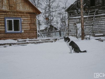 Опрос о потребности в домашнем интернете в малых населённых пунктах можно пройти до 30 марта