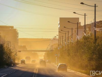 Штраф за езду без ОСАГО будут выписывать не чаще раза в сутки