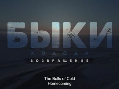 Документальный фильм об овцебыках и бизонах показали в Якутске