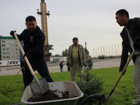 В Якутске на площади Победы высадили 33 ели