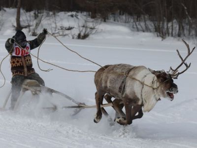 ООО «Транснефть – Восток» поддержало проведение межрегиональных соревнований юных оленеводов в Якутии