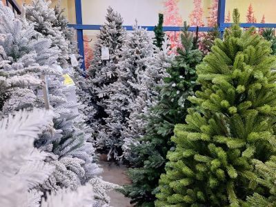 Юрист предупредила о штрафах за неправильную утилизацию новогодней елки