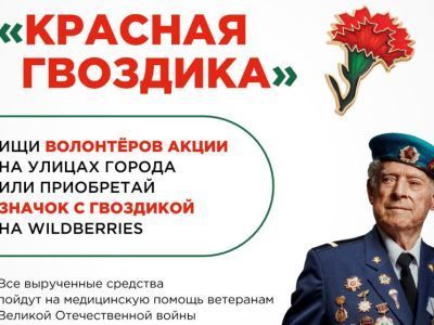 В апреле стартует всероссийская акция помощи ветеранам «Красная гвоздика»