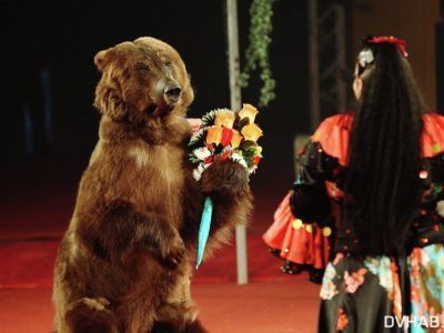 Праздничную акцию в честь Дня России запускает цирковое шоу «Парад-Алле»