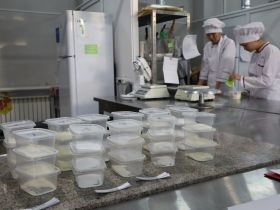 Участники «Вкуса Севера» приготовили меренгу с таежными ягодами и рыбные мини-пироги