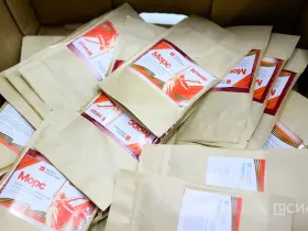 Участники СВО получат гуманитарный груз от Якутии ко Дню народного единства 