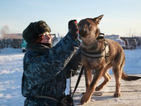 Новые щенки начнут службу в УФСИН Якутии