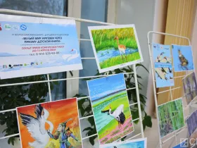 Восстановление стерха: Якутия подводит итоги года