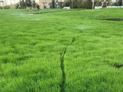 В Якутске на площади Победы по первым всходам газона проехались на велосипеде