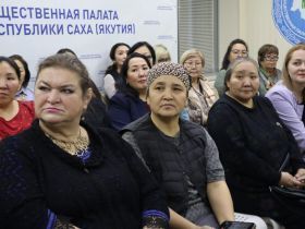 В Якутии представили демоверсию нового ресурса «Ийэ кут – здоровое материнство»