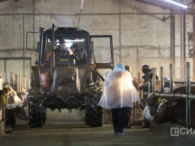 Авито Спецтехника: каждая третья сделка по покупке техники проходит онлайн